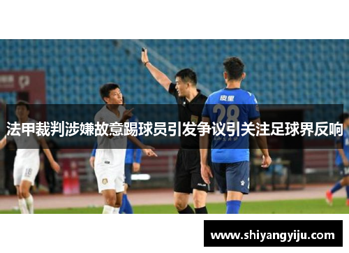 法甲裁判涉嫌故意踢球员引发争议引关注足球界反响