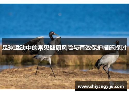 足球运动中的常见健康风险与有效保护措施探讨