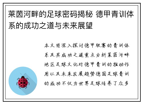 莱茵河畔的足球密码揭秘 德甲青训体系的成功之道与未来展望