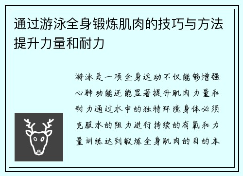通过游泳全身锻炼肌肉的技巧与方法提升力量和耐力