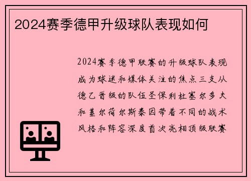 2024赛季德甲升级球队表现如何