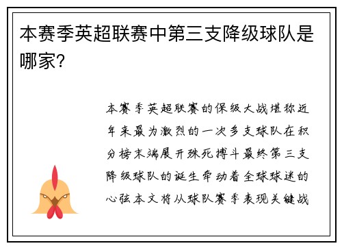 本赛季英超联赛中第三支降级球队是哪家？